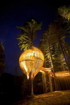 Redwoods Treehouse Night
