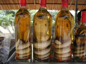 Image - Snake Wine