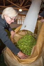 rsz_sprig_tracy_banner_kentishman_hops_sml