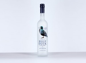 Blue Duck