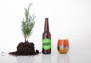 rsz_festive-ipa-pine_2015-3