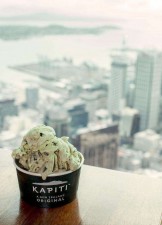 rsz_sky_tower_kapiti_ice_cream_view (1)