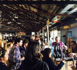 rsz_the_shout-pinot_palooza_auckland