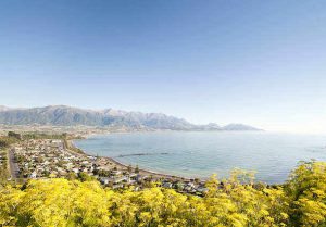 The town of Kaikoura on New Zealand's South Island.  The town is popular with tourists for marine exploration, especially whalespotting.